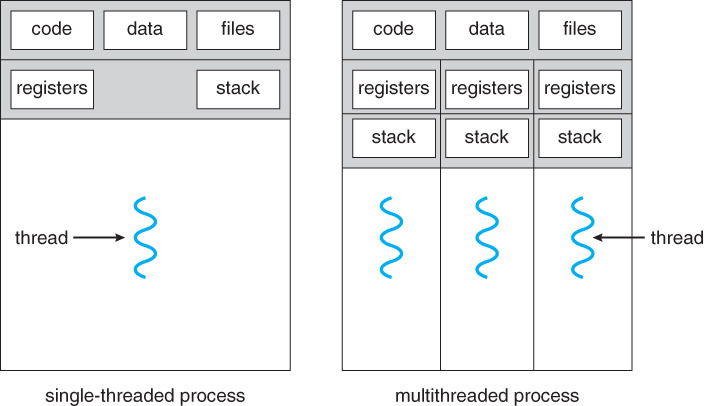 Single-threaded, multithreaded processes