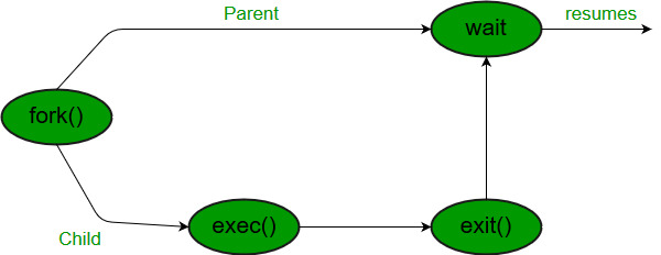 Wait System Call in C - GeeksforGeeks