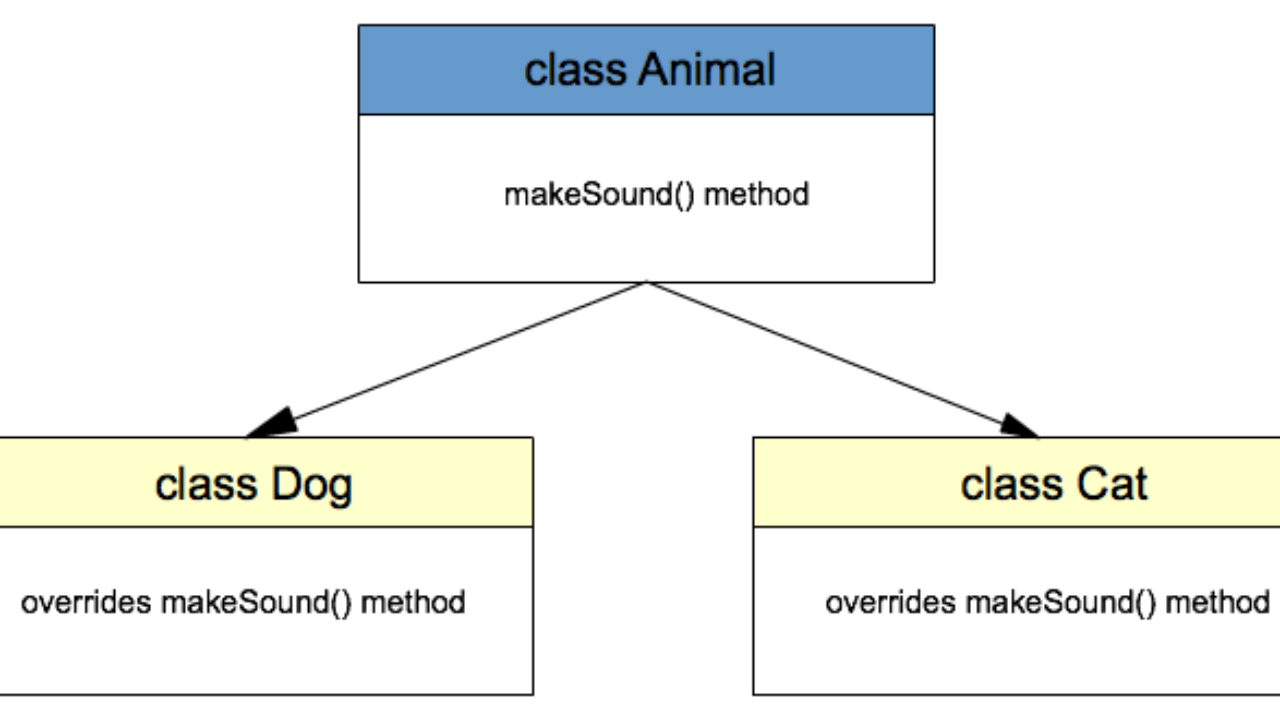 polymorphism 이미지 검색결과