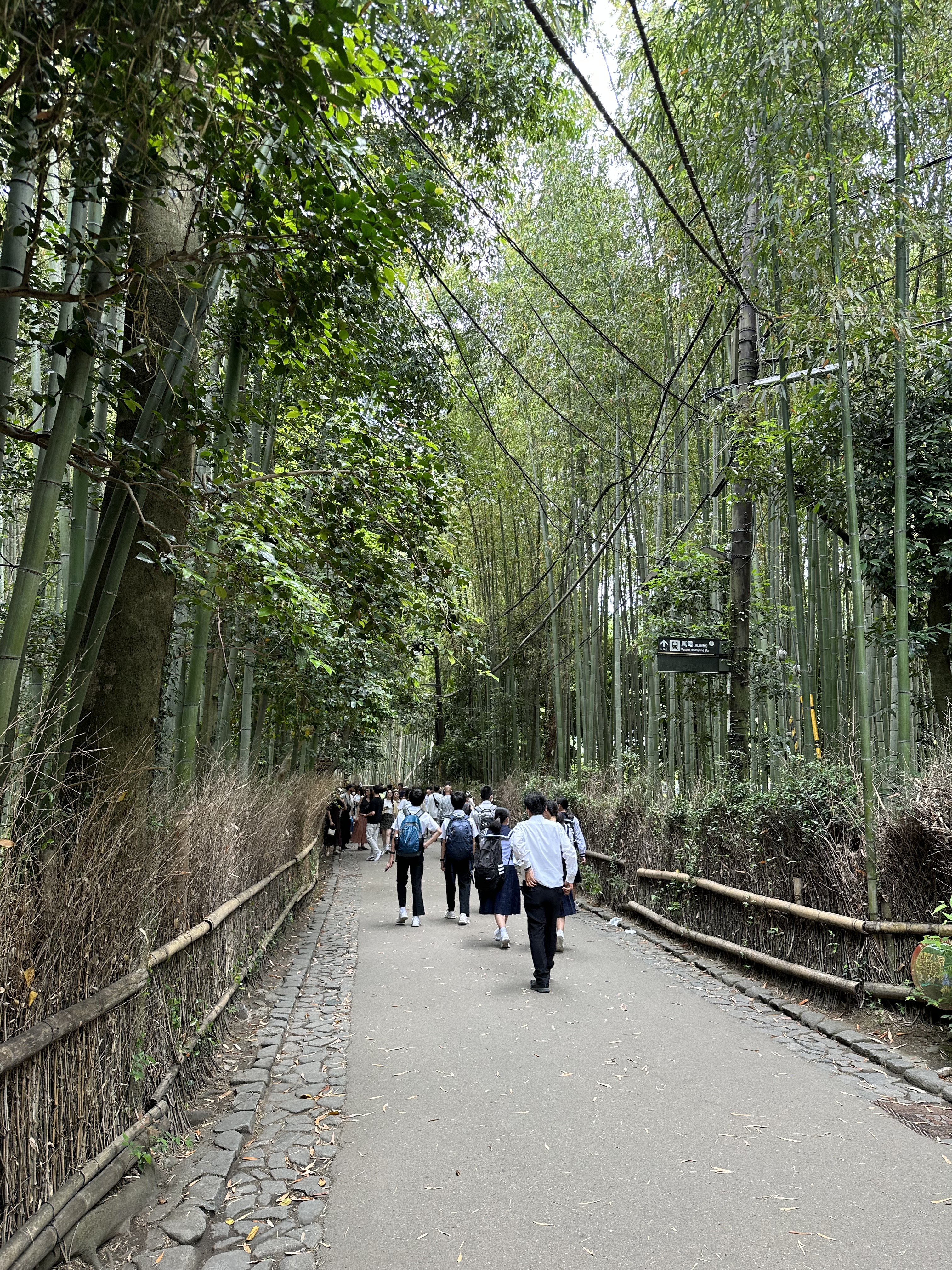kyoto1