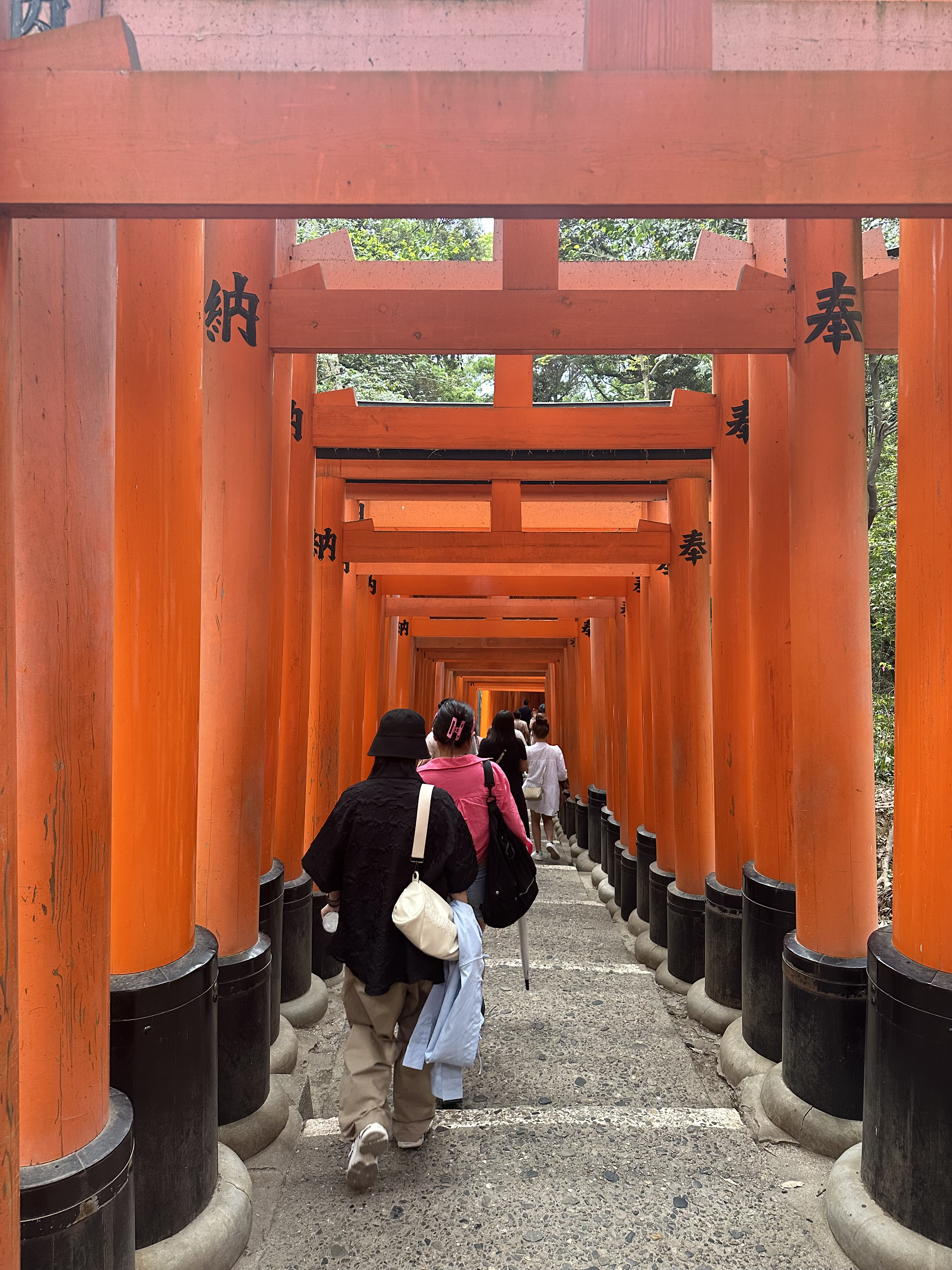 kyoto3