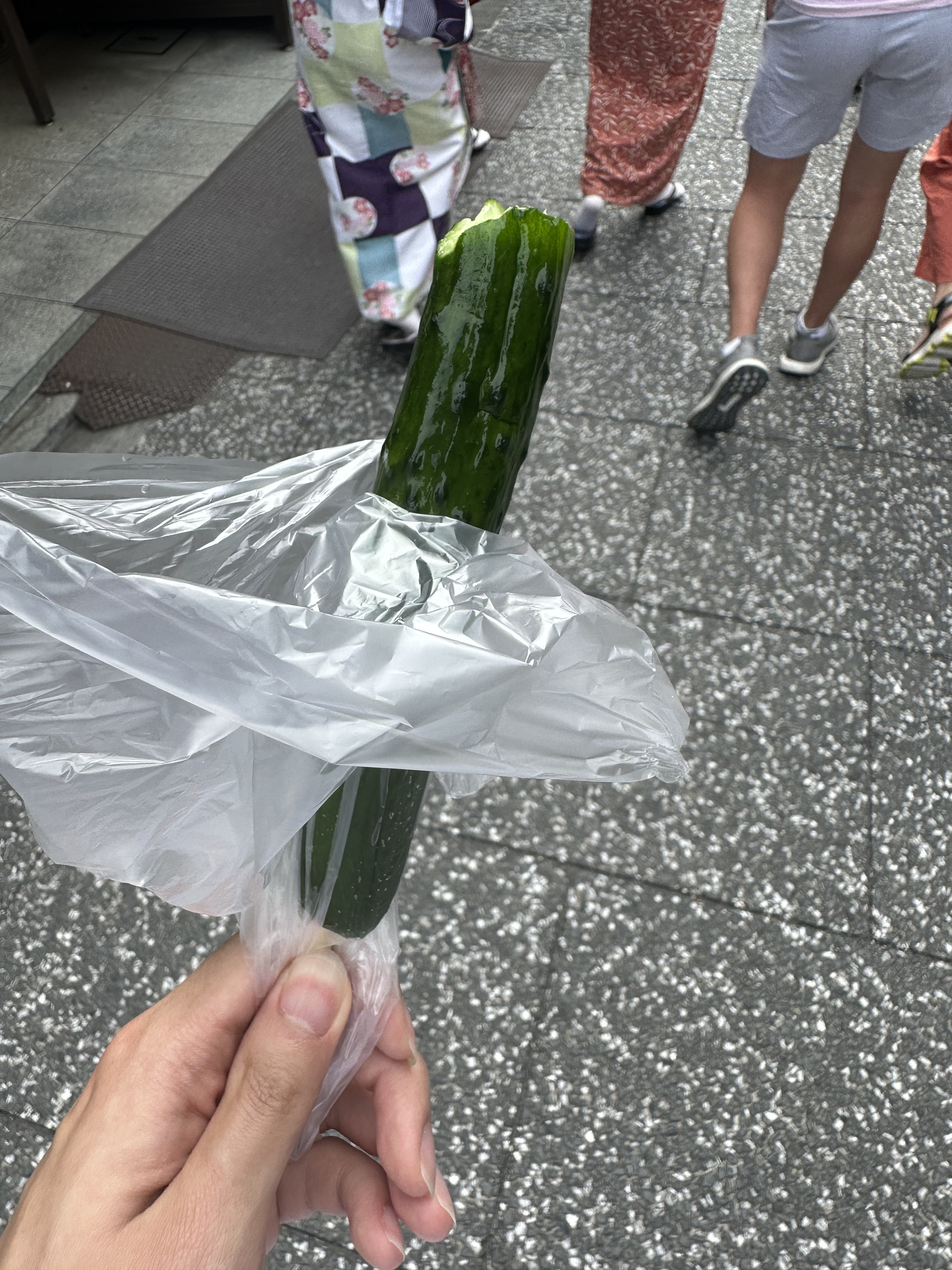 kyoto4